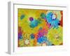 Multicolor Blossom Design, Photographic Layer Work-Alaya Gadeh-Framed Photographic Print