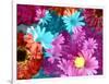 Multicolor Blossom Design, Photographic Layer Work-Alaya Gadeh-Framed Photographic Print