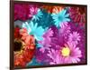 Multicolor Blossom Design, Photographic Layer Work-Alaya Gadeh-Framed Photographic Print