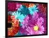 Multicolor Blossom Design, Photographic Layer Work-Alaya Gadeh-Framed Photographic Print