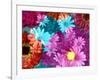 Multicolor Blossom Design, Photographic Layer Work-Alaya Gadeh-Framed Photographic Print