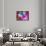 Multicolor Blossom Design, Photographic Layer Work-Alaya Gadeh-Framed Stretched Canvas displayed on a wall