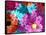Multicolor Blossom Design, Photographic Layer Work-Alaya Gadeh-Framed Stretched Canvas