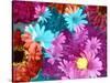 Multicolor Blossom Design, Photographic Layer Work-Alaya Gadeh-Stretched Canvas