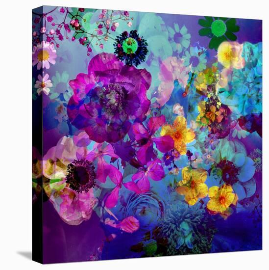 Multicolor Blossoms in Deep Blue Water-Alaya Gadeh-Stretched Canvas