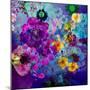 Multicolor Blossoms in Deep Blue Water-Alaya Gadeh-Mounted Photographic Print