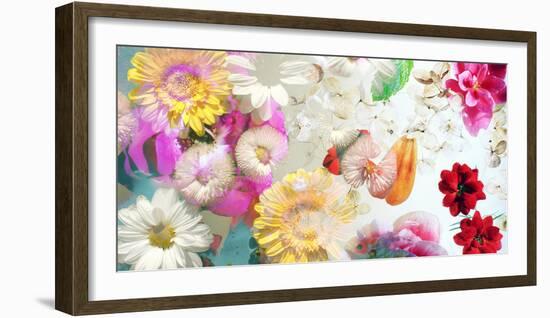 Multicolor Blossoms in Water-Alaya Gadeh-Framed Photographic Print