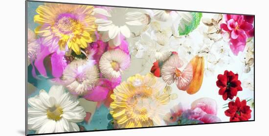 Multicolor Blossoms in Water-Alaya Gadeh-Mounted Photographic Print