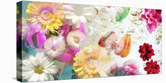 Multicolor Blossoms in Water-Alaya Gadeh-Stretched Canvas