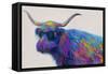 Multicolor Bull-Dan Meneely-Framed Stretched Canvas