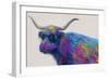 Multicolor Bull-Dan Meneely-Framed Art Print