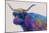 Multicolor Bull-Dan Meneely-Mounted Art Print