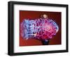 Multicolor Crash-Alan Sailer-Framed Photographic Print