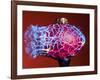 Multicolor Crash-Alan Sailer-Framed Photographic Print