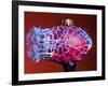 Multicolor Crash-Alan Sailer-Framed Photographic Print