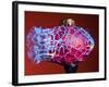 Multicolor Crash-Alan Sailer-Framed Photographic Print