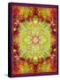 Multicolor Ornament from Flower Photographs-Alaya Gadeh-Framed Stretched Canvas
