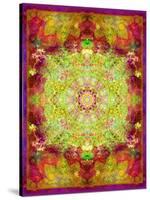 Multicolor Ornament from Flower Photographs-Alaya Gadeh-Stretched Canvas