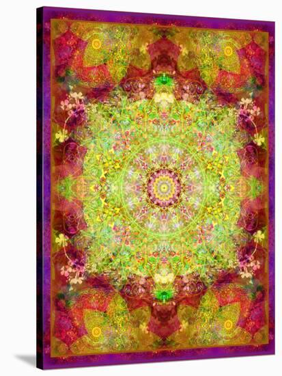Multicolor Ornament from Flower Photographs-Alaya Gadeh-Stretched Canvas