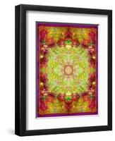 Multicolor Ornament from Flower Photographs-Alaya Gadeh-Framed Photographic Print