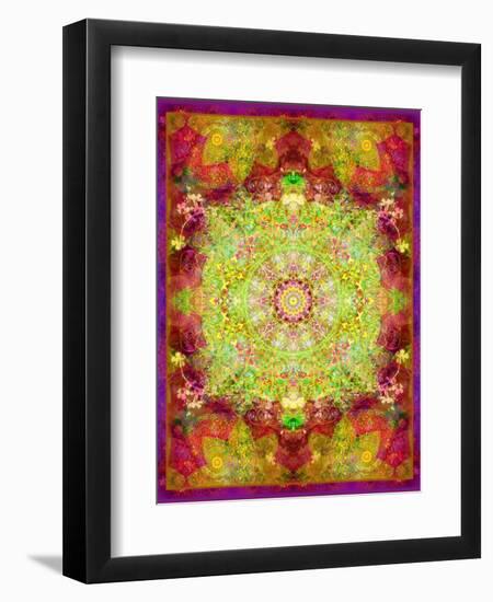 Multicolor Ornament from Flower Photographs-Alaya Gadeh-Framed Photographic Print