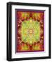 Multicolor Ornament from Flower Photographs-Alaya Gadeh-Framed Photographic Print