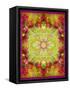 Multicolor Ornament from Flower Photographs-Alaya Gadeh-Framed Stretched Canvas