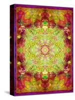 Multicolor Ornament from Flower Photographs-Alaya Gadeh-Stretched Canvas