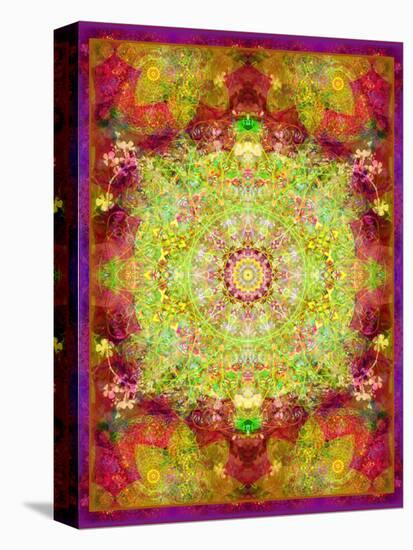 Multicolor Ornament from Flower Photographs-Alaya Gadeh-Stretched Canvas