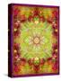 Multicolor Ornament from Flower Photographs-Alaya Gadeh-Stretched Canvas