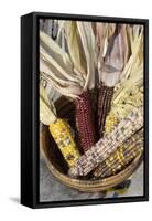 Multicolored Corn, a Native American Staple Crop, in an Indian Basket-null-Framed Stretched Canvas