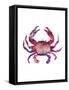 Multicolored Crab-Edward Selkirk-Framed Stretched Canvas