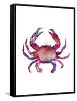 Multicolored Crab-Edward Selkirk-Framed Stretched Canvas