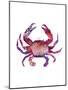 Multicolored Crab-Edward Selkirk-Mounted Art Print