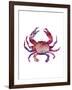 Multicolored Crab-Edward Selkirk-Framed Art Print