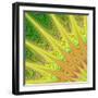 Multicolored Fractal Digital Art Design-David Zydd-Framed Art Print