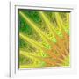 Multicolored Fractal Digital Art Design-David Zydd-Framed Art Print