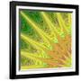 Multicolored Fractal Digital Art Design-David Zydd-Framed Art Print