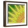 Multicolored Fractal Digital Art Design-David Zydd-Framed Art Print