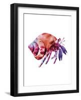 Multicolored Hermit-Edward Selkirk-Framed Art Print