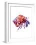 Multicolored Hermit-Edward Selkirk-Framed Art Print