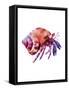 Multicolored Hermit-Edward Selkirk-Framed Stretched Canvas