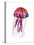 Multicolored Jellyfish-Edward Selkirk-Stretched Canvas