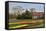 Multicolored Tulips Field in Keukenhof, the Netherlands-sborisov-Framed Stretched Canvas