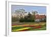 Multicolored Tulips Field in Keukenhof, the Netherlands-sborisov-Framed Photographic Print