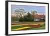 Multicolored Tulips Field in Keukenhof, the Netherlands-sborisov-Framed Photographic Print