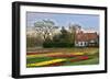 Multicolored Tulips Field in Keukenhof, the Netherlands-sborisov-Framed Photographic Print