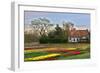 Multicolored Tulips Field in Keukenhof, the Netherlands-sborisov-Framed Photographic Print