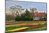 Multicolored Tulips Field in Keukenhof, the Netherlands-sborisov-Mounted Photographic Print