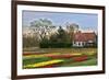 Multicolored Tulips Field in Keukenhof, the Netherlands-sborisov-Framed Photographic Print